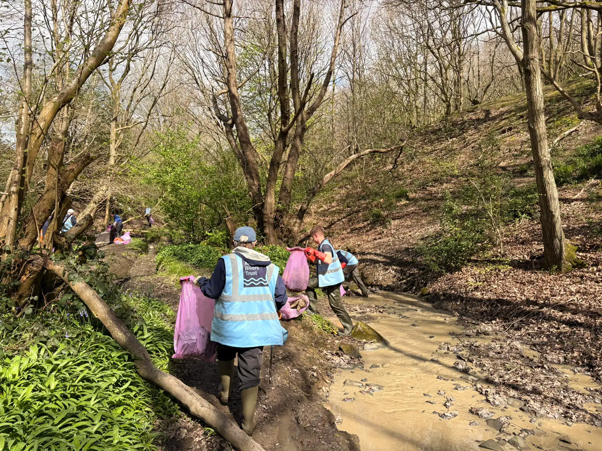 Volunteers Litter picking along Fagley Beck