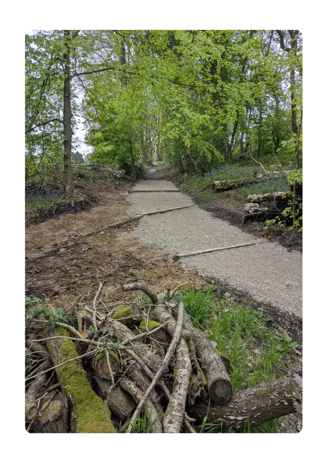 A newly repaired gravel footpath through woodland