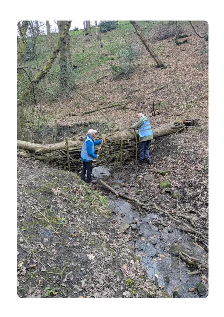 A leaky dam on Northcliffe Dike
