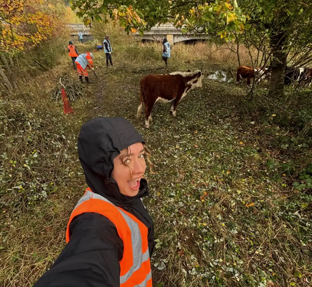 Betsy Matten standing in a a field with ART volunteers, some cows and Himalayan balsam