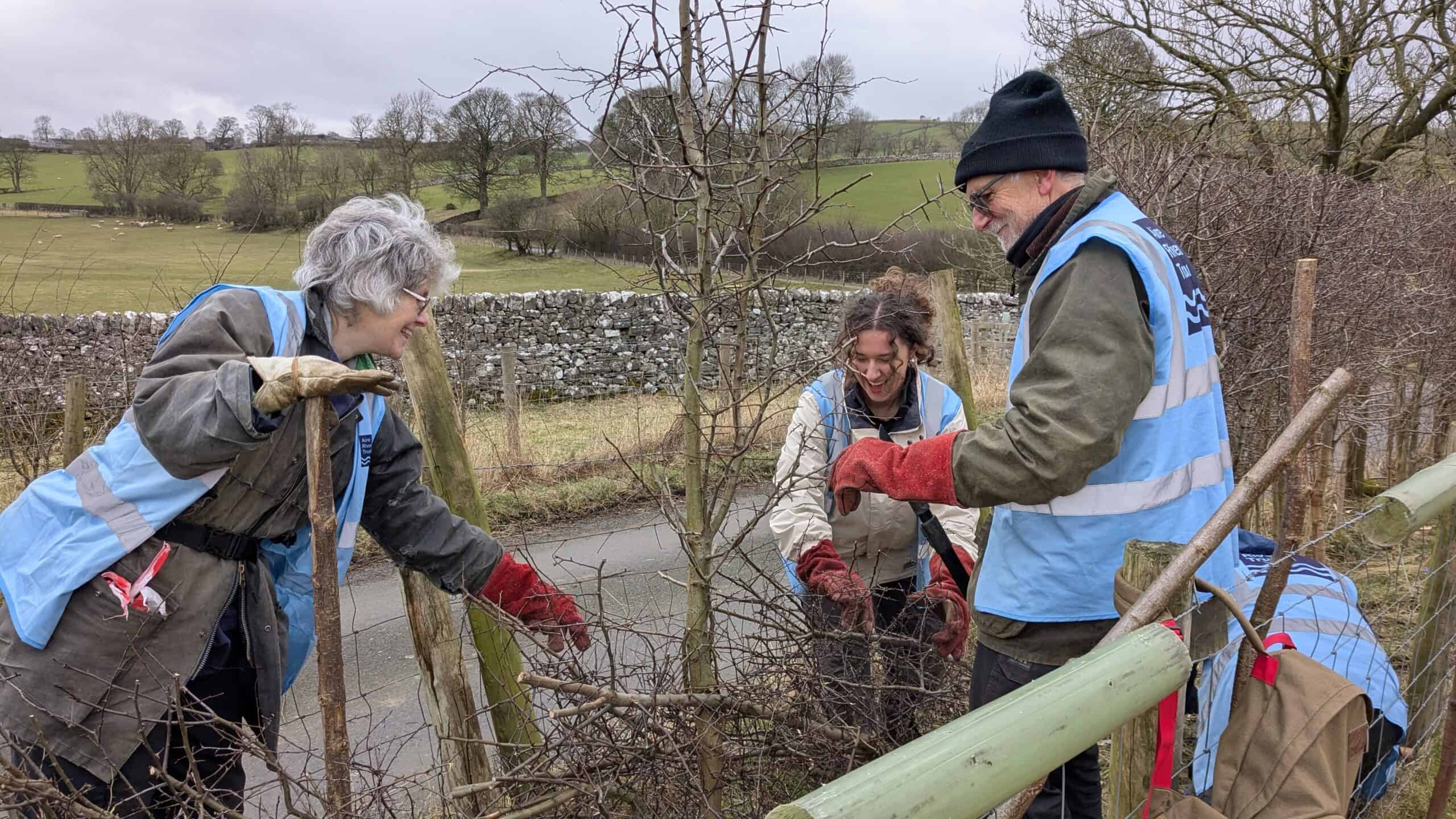 Three volunteers improving habitat by creating a brushwood hedge
